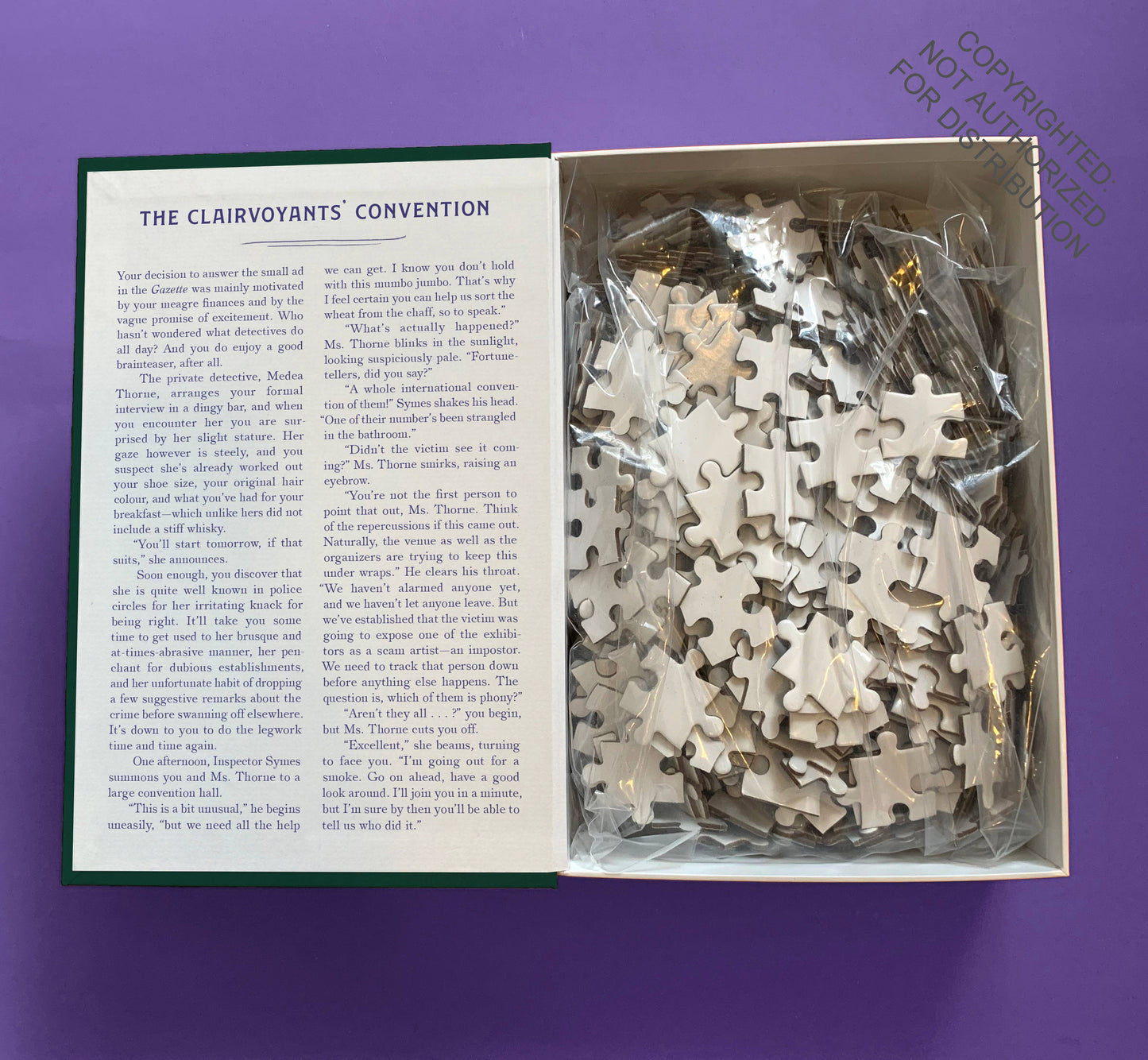 Chronicle Books Murder Most Puzzling: The Clairvoyants’ Convention, 500 Piece Puzzle