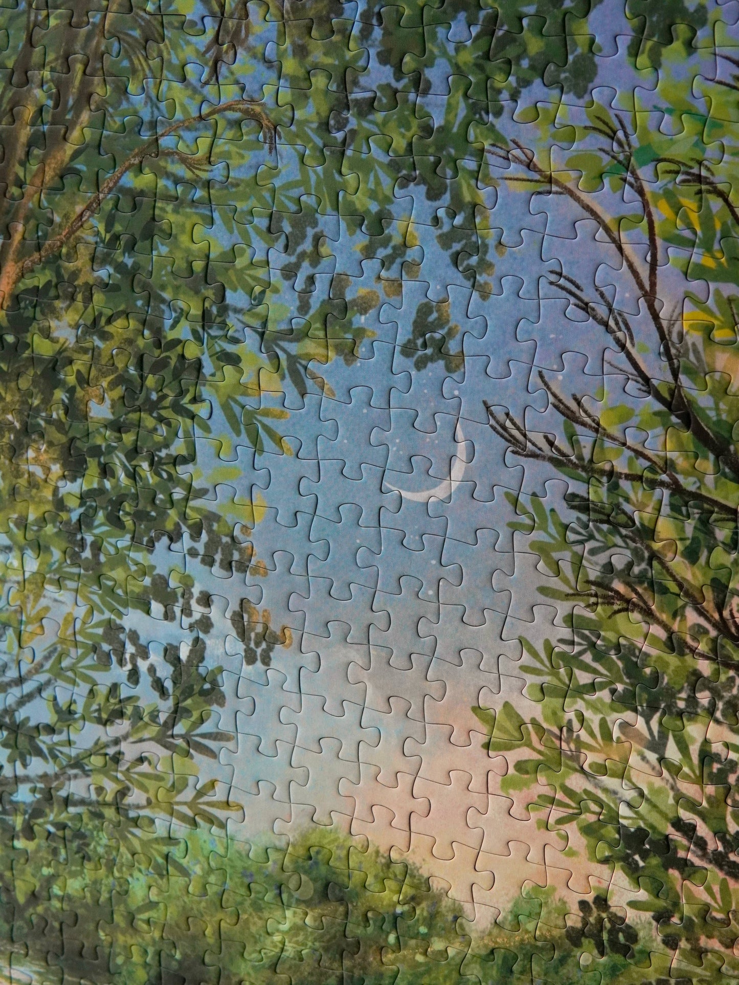 WEVE Through the Wild, 1000 Piece Puzzle